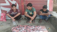 নওগাঁয় সেনাবাহিনীর অভিযানে ৩ মাদক কারবারি আটক